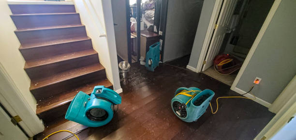 Best Flood restoration services  in Kodi, AK
