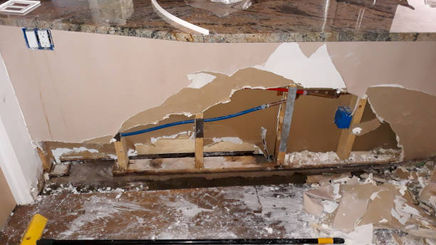 Best Water damage cleanup near me  in Kodi, AK