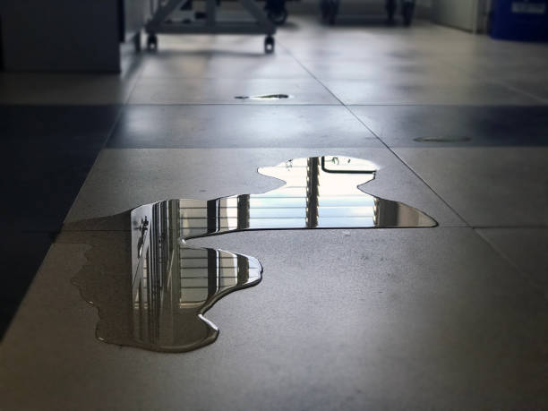 Best 24/7 water damage repair  in Kodi, AK