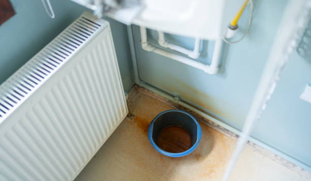 Best Water damage restoration near me  in Kodi, AK